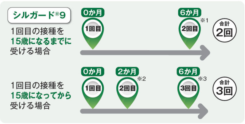 9価ワクチンの接種スケジュール